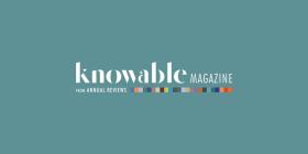 'Knowable Magazine' Reaches Broad Audience