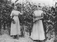 Women in corn field