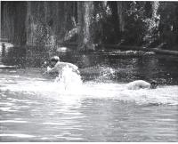 Swimming in the Pond