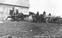Horse drawn wagons